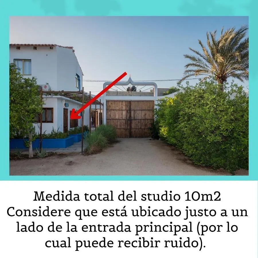 Cabo Bohemia Tropical Garden Studios Cabo San Lucas