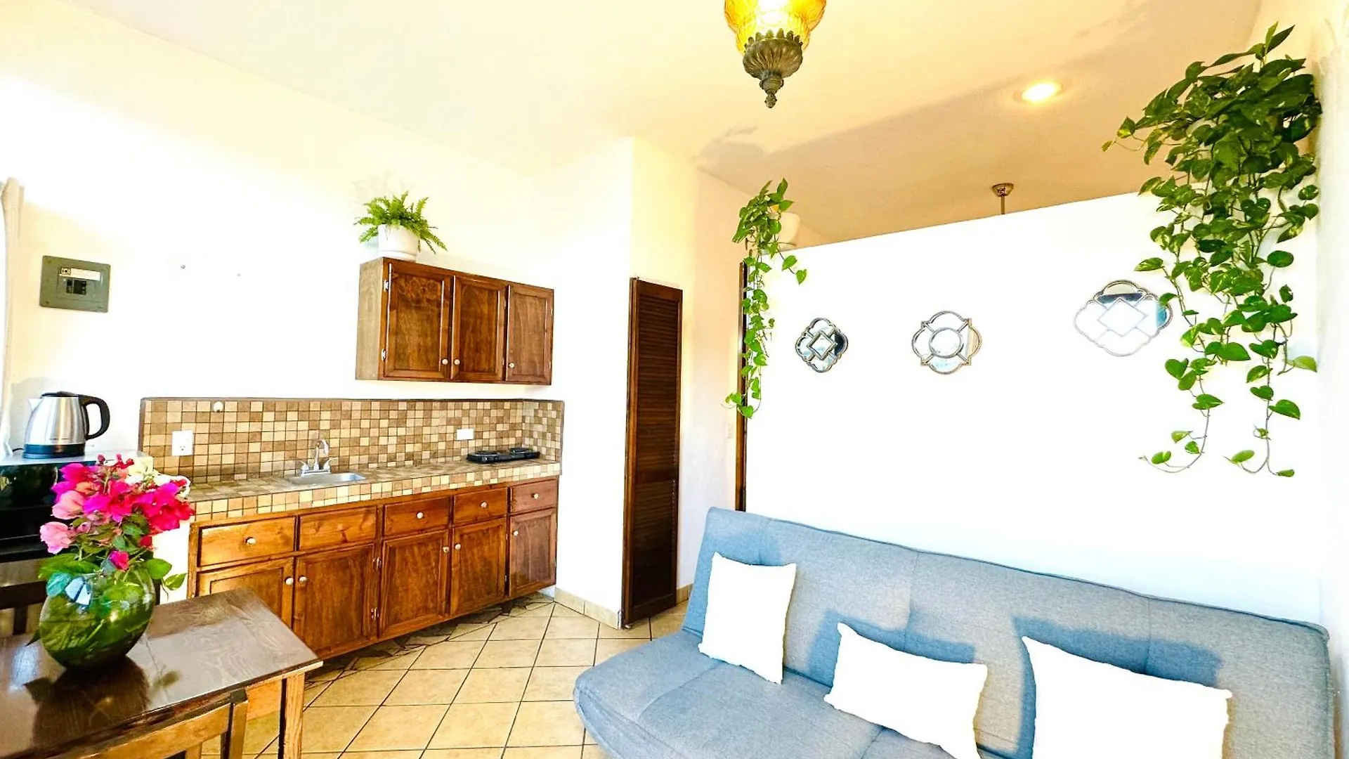 Apartment Cabo Bohemia Tropical Garden Studios Cabo San Lucas