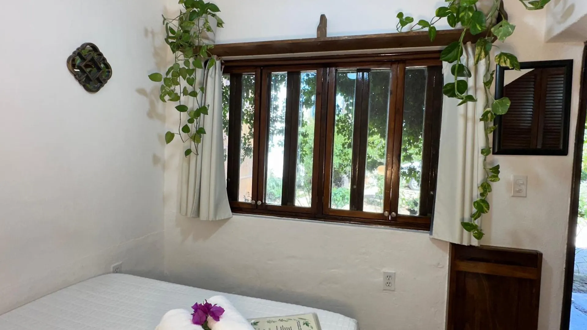 Cabo Bohemia Tropical Garden Studios Cabo San Lucas Appartement