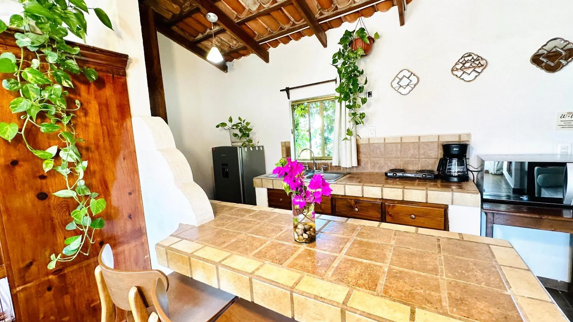 Cabo Bohemia Tropical Garden Studios Cabo San Lucas Appartement