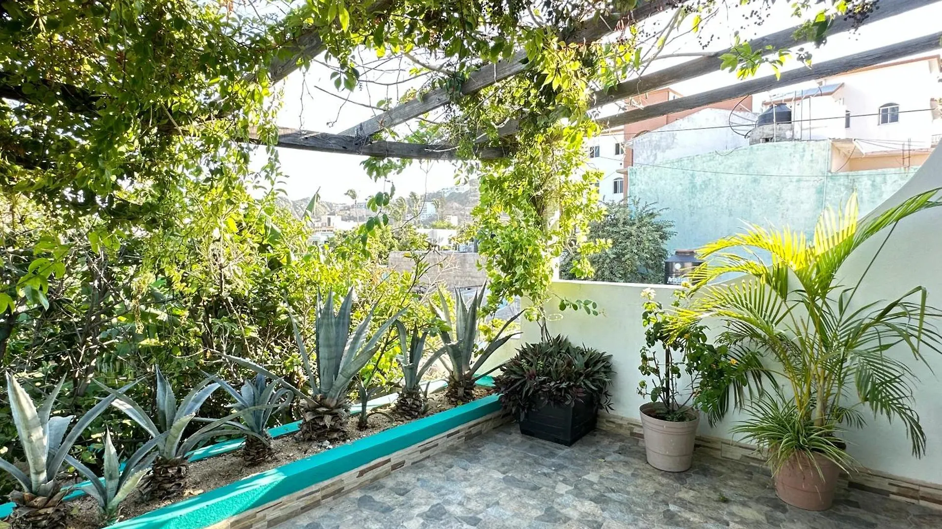 Cabo Bohemia Tropical Garden Studios Cabo San Lucas Appartement